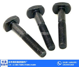 上海T型螺栓專業(yè)供應商 旺盈緊固件，金屬拉絲加工品質(zhì)保障